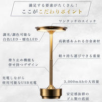 A-0009-S（直送品）