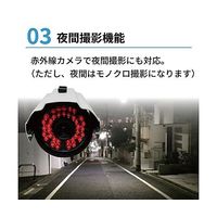 ブロードウォッチ 屋外型簡易監視カメラセット(VGA) SEC-S-4C 1セット 60-3183-39（直送品）
