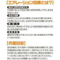 大進 替刃式芝パンチ本体セット DS-M104 1セット