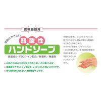 サラヤ 弱酸性ハンドソープ　泡ハンドソープ　無香料　1セット(1本×12)