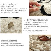 イケヒコ・コーポレーション ネム 玄関マット BE 50×80cm 1311320000000 1枚