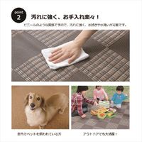 イケヒコ・コーポレーション ウィード PP BR 本間2畳 1090280000000 1枚