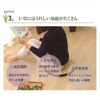 イケヒコ コート い草クッション マチ付 400×400mm ブラウン 1140530060404 1セット(2個入)（直送品）