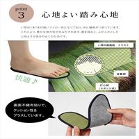 イケヒコ・コーポレーション い草インソール NV 31cm 1120290190422 1セット（直送品）