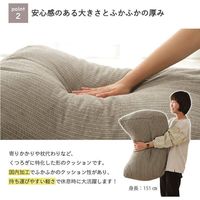 イケヒコ レイク 寄りかかりクッション 600×500mm ネイビー 9165809 1個（直送品）