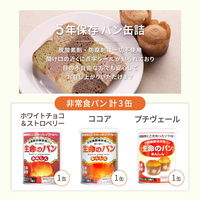 【非常食】ピースアップ 3日分(9食)非常食セットA4サイズBOX入り 10001686 1セット