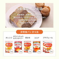 【非常食】ピースアップ 2人用/3日分(18食)非常食セット 10001684 1セット