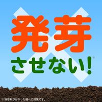 アースガーデン おうちの草コロリ 非農耕地用 除草剤 液体 雑草 除去 草取り 安全 食品成分生まれ 1個 6L アース製薬