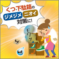 備長炭ドライペット 除湿剤 下駄箱用 95g