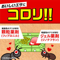 蟻 アリ 駆除 毒餌剤 置き型 スーパーアリの巣コロリ蟻の巣 対策 退治 あり 殺虫剤 家 室内 部屋  4パック（2個入×4） アース製薬