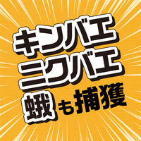 ハエとり棒 ハエ取り コバエ取り 捕獲器 誘引剤 粘着棒 粘着剤 駆除 退治 対策 止まり木効果 1個（4本入） アース製薬