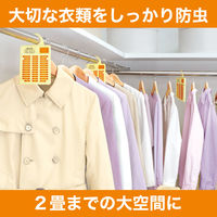 ムシューダ 1年間有効 ウォークインクローゼット専用 2箱（3個入×2）