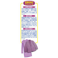 ミセスロイド ウォークインクローゼット用 1箱（3個入り） 1年防虫 白元アース