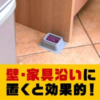 デスモアプロ トレータイプ 強力 殺鼠剤 ネズミ 駆除剤 毒餌剤 置き型 罠 対策 退治 撃退 いなくなる 1箱 アース製薬