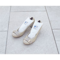 ドライペット 除湿剤 スピード吸湿 くつ用 くりかえし再生タイプ 1足分(150g×2)