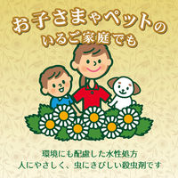 天然除虫菊 水性キンチョール 300ml スプレー 1本 香料無添加 蚊 ハエ ゴキブリ トコジラミ 駆除 殺虫剤 キンチョー