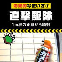 アースガーデン カメムシ撃滅 480ml 1個 殺虫剤 駆除 かめむし アース製薬