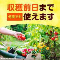 殺虫剤 殺菌剤 スプレー アースガーデン 園芸用品 ロハピ 1000mL 1個 殺虫殺菌剤 家庭菜園 ガーデニング 野菜 植物 花 対策 アース製薬