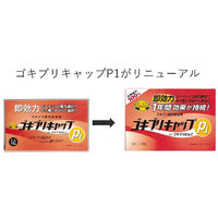 ゴキブリキャップP1 ゴキブリ専用 殺虫剤 1箱（15個） タニサケ