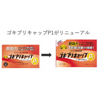 ゴキブリキャップP1 ゴキブリ専用 殺虫剤 1箱（30個） タニサケ