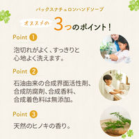 詰替用　ナチュロンハンドソープＮ　450mL　1個　太陽油脂　泡　無添加　天然由来100%　せっけん