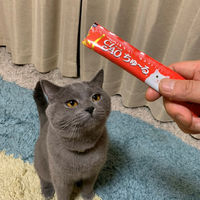 いなば CIAO チャオ ちゅーる 猫 まぐろ 国産（14g×4本）6袋 ちゅ～る キャットフード 猫用 おやつ