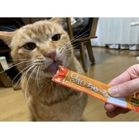 いなば CIAO チャオ ちゅーる 猫 宗田鰹＆かつお節 国産（14g×4本）30袋 ちゅ～る キャットフード 猫用 おやつ