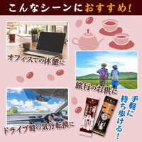 井村屋 片手で食べられるようかん アソート 725g 1箱 ようかん 和菓子
