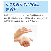 ヤシノミ洗剤 キッチン泡ハンドソープ 詰め替え 220ml 1セット（3個入り） サラヤ