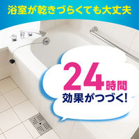 カビ防止 排水口 掃除 らくハピ お風呂の排水口 ピンクヌメリ予防 防カビプラス 1個 カビ対策 予防 浴室 ゴミ受け 置き型 アース製薬
