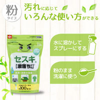 激落ちくん セスキ炭酸ソーダ 500g 掃除 1セット（2個） レック (C00131)