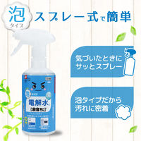 激落ちくん アルカリ 電解水 泡 スプレー 掃除 400ml レック (C00156)