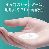 h&s　リフレッシュ　シャンプー　詰め替え　特大　550ml　P&G