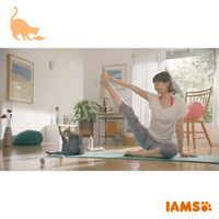 アイムス キャットフード 成猫用 インドアキャット チキン 1.5kg（375g×小分け4袋）マース