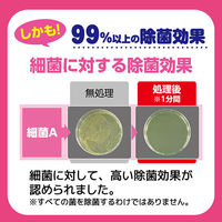 カーテンにカビがはえなくなるスプレー 防カビ 本体 300mL KINCHO キンチョー