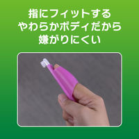 指サック歯ブラシ ペットキッス（PETKISS）犬猫用 国産 1本 ライオンペット