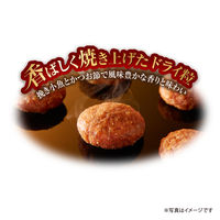 銀のスプーン 三ツ星グルメ 4種のアソート お魚ささみレシピ 国産 200g（20g×10袋）キャットフード ドライ