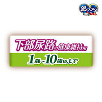 銀のスプーン 贅沢うまみ仕立て 下部尿路の健康維持用 国産 1.3kg（小分けパック4袋入）6袋 キャットフード ドライ