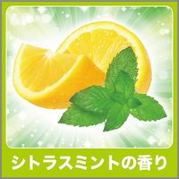 エステー 消臭力 生ゴミ用スプレー シトラスミントの香り