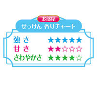 お部屋の消臭元 ふんわり清潔せっけん 消臭芳香剤 部屋用 400ml 1セット（2個） 小林製薬