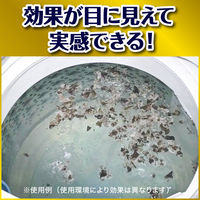カビキラー 洗濯槽クリーナー 洗濯槽カビキラー 酸素系粉末タイプ 250g 1個 洗濯機 除菌 ジョンソン