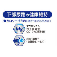 メディファス 避妊・去勢後子ねこ～10歳 まぐろと若鶏ささみ 50g 国産 48袋 キャットフード ウェット パウチ