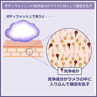 ラメランス 泡ボディウォッシュ アクアティックホワイトフローラル ポンプ 480ml 1個 クラシエ