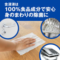 スマートハイジーン ノロアウト アルコール除菌ウェットシート 1セット（15枚×3個）サラヤ