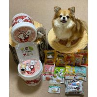 チョイあげ 山羊ミルクスティック 6本 5袋 国産 わんわん ドッグフード おやつ