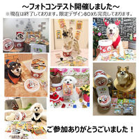 チョイあげ S・S・S・C サクサクささみチーズ入 10g 2袋 国産 わんわん ドッグフード おやつ