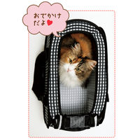 ポータブル キャリー 猫用（6kgまで） 猫壱