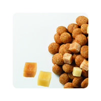 ラシーネ 犬用 柴犬 1.6kg（200g×8袋）国産 1袋 日本ペットフード