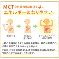 国産健康缶 エネルギー補給かつお 40g 12袋 国産 キャットフード ウェット パウチ