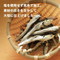 減塩ペットこざかな 犬猫用 100g 国産 3袋 フジサワ